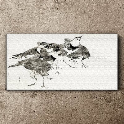 Obraz Canvas Zwierzę Ptaki