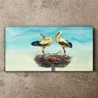 Obraz Canvas Storki na gnieździe w błękicie