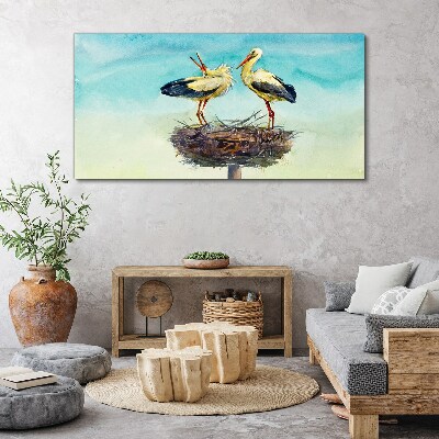 Obraz Canvas Storki na gnieździe w błękicie