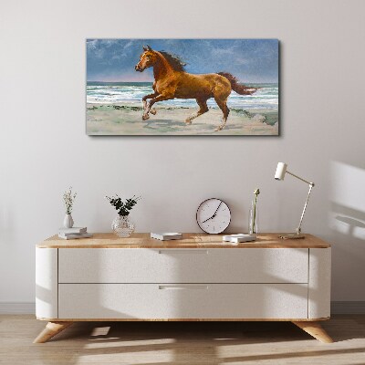Obraz Canvas plaża wybrzeże koń morze fale