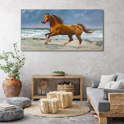 Obraz Canvas plaża wybrzeże koń morze fale