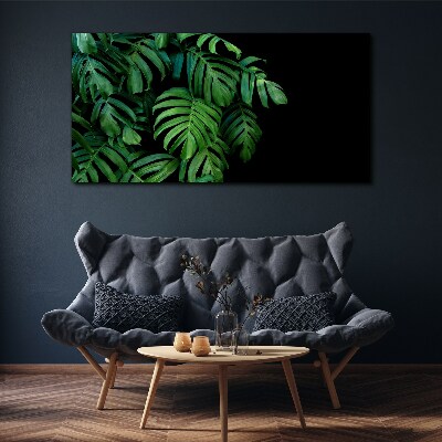 Obraz Canvas Zielone liście na czarnym tle