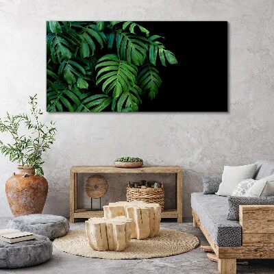 Obraz Canvas Zielone liście na czarnym tle