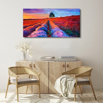 Obraz Canvas Krajobraz lawendowych pól o zachodzie słońca