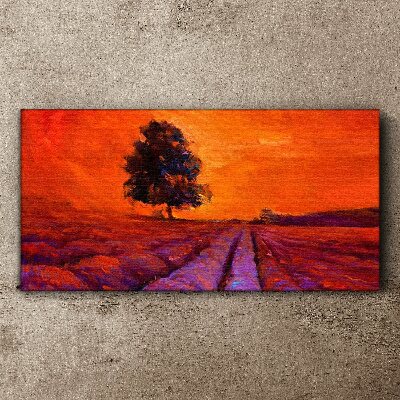 Obraz Canvas Zachód słońca nad polami