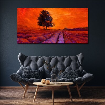 Obraz Canvas Zachód słońca nad polami