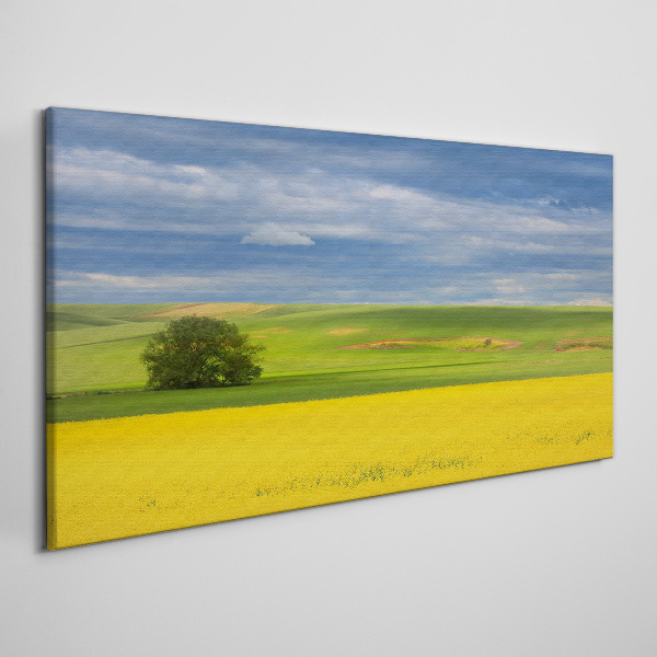 Obraz Canvas Żółte pola pod niebieskim niebem