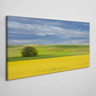 Obraz Canvas Żółte pola pod niebieskim niebem