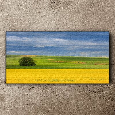 Obraz Canvas Żółte pola pod niebieskim niebem