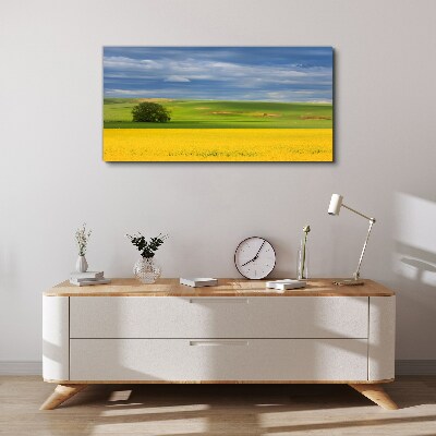 Obraz Canvas Żółte pola pod niebieskim niebem