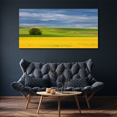 Obraz Canvas Żółte pola pod niebieskim niebem