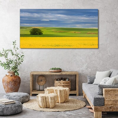 Obraz Canvas Żółte pola pod niebieskim niebem