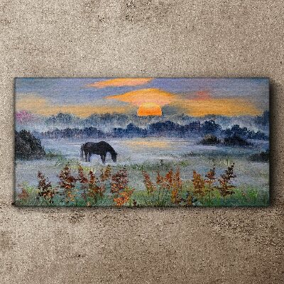 Obraz Canvas Łąka Zwierzę Zachód słońca