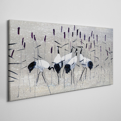Obraz Canvas Białe żurawie w trzcinach