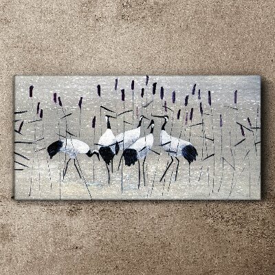 Obraz Canvas Białe żurawie w trzcinach
