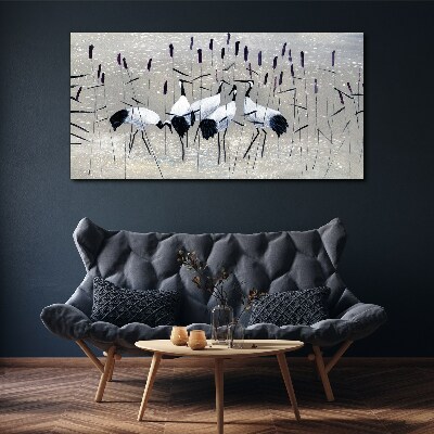 Obraz Canvas Białe żurawie w trzcinach