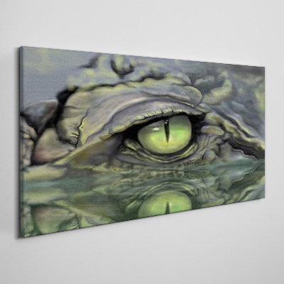 Obraz Canvas Oko żaby w odbiciu wody