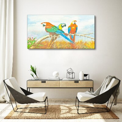 Obraz na Płótnie Zwierzę Ptaki Papuga Chmury