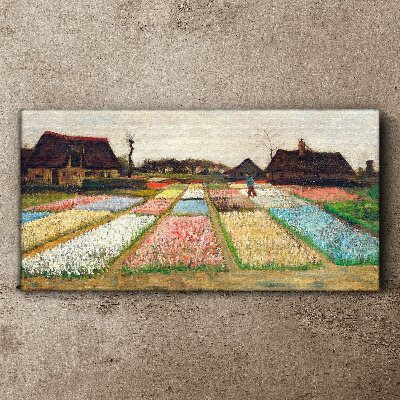 Obraz Canvas Wiosenne pola tulipanów