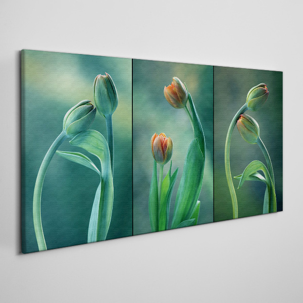 Obraz Canvas Tulipany w odcieniach zieleni