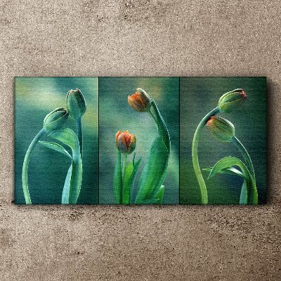 Obraz Canvas kwiaty rośliny tulipany