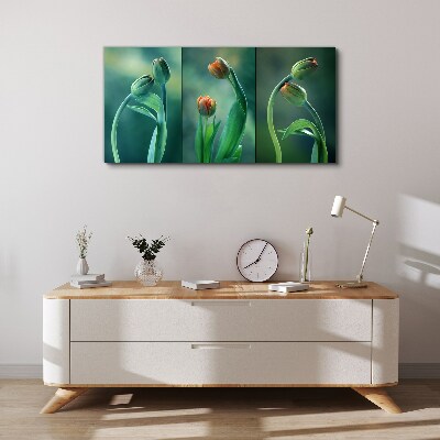 Obraz Canvas Tulipany w odcieniach zieleni