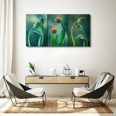 Obraz Canvas Tulipany w odcieniach zieleni