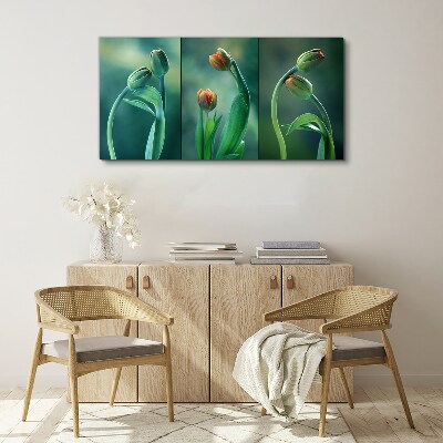 Obraz Canvas Tulipany w odcieniach zieleni