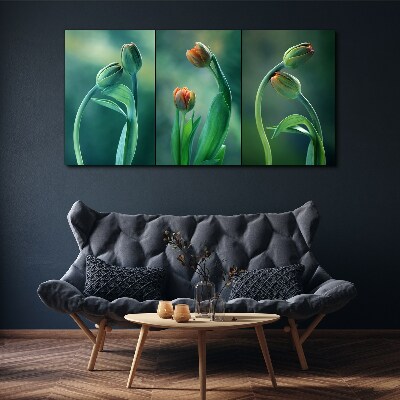 Obraz Canvas Tulipany w odcieniach zieleni