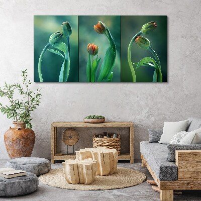 Obraz Canvas Tulipany w odcieniach zieleni