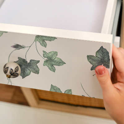 Folia do oklejania mebli Liście bluszczu