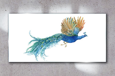Obraz Szklany zwierzę ptak paw