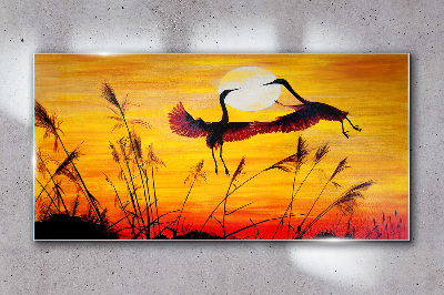 Obraz Szklany zwierzęta ptaki zachód słońca