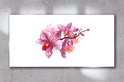 Obraz na Szkle Różowe orchidee na tle bieli