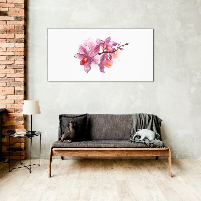 Obraz na Szkle Różowe orchidee na tle bieli