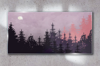 Obraz na Szkle las niebo księżyc