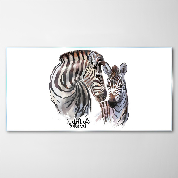 Obraz na Szkle Zebra w dzikiej naturze