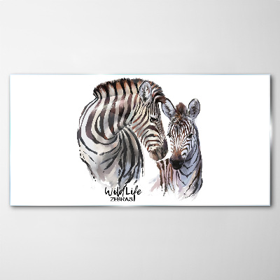 Obraz na Szkle Zebra w dzikiej naturze