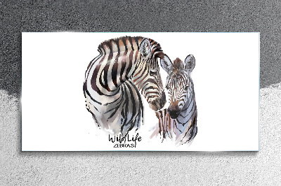 Obraz na Szkle Zebra w dzikiej naturze