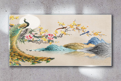Obraz Szklany Peacock in Blooming Landscape