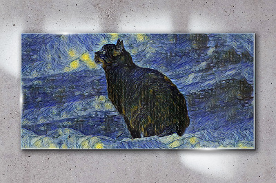 Obraz na Szkle Kot w nocnym niebie