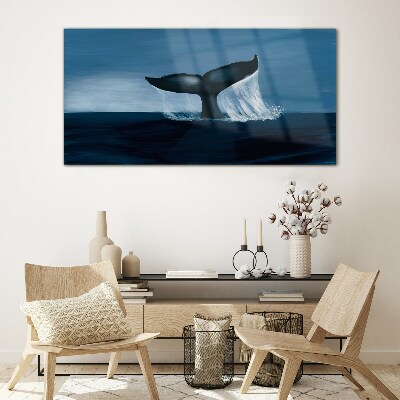 Obraz Szklany Zwierzę morze wieloryb