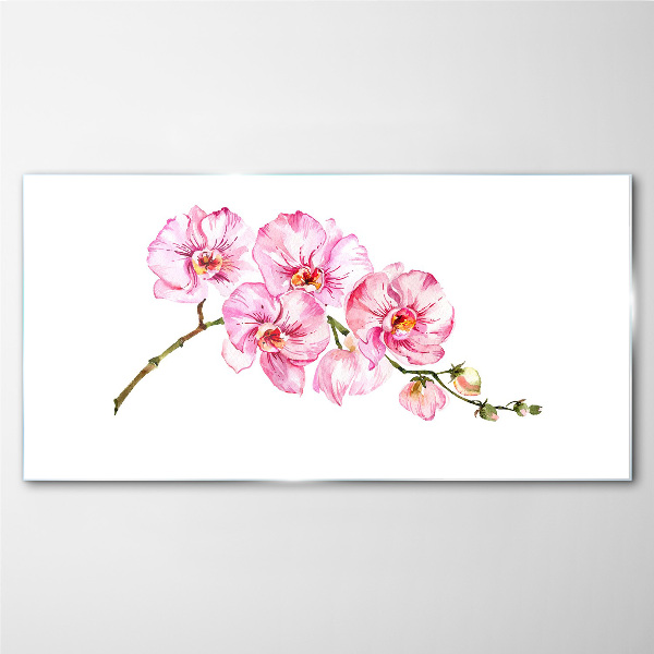 Obraz na Szkle Różowe orchidee na białym tle