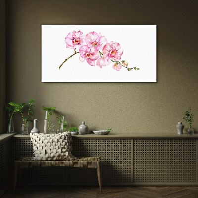 Obraz na Szkle Różowe orchidee na białym tle