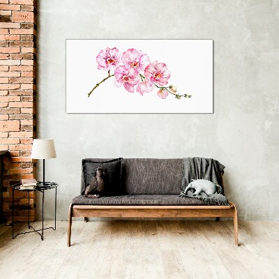 Obraz na Szkle Różowe orchidee na białym tle