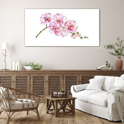 Obraz na Szkle Różowe orchidee na białym tle