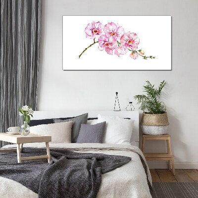 Obraz na Szkle Różowe orchidee na białym tle