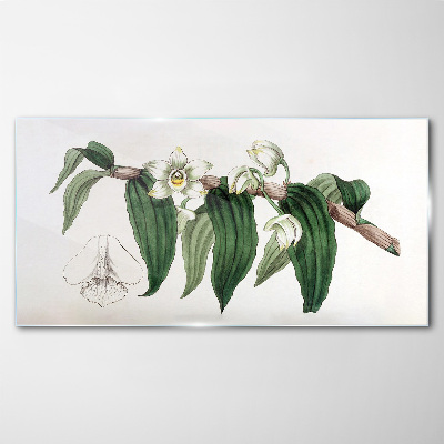 Obraz na Szkle Rysunek kwiat gałąź orchidea