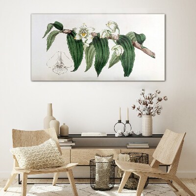 Obraz na Szkle Rysunek kwiat gałąź orchidea