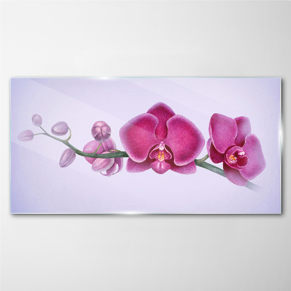 Obraz na Szkle Orchidee w delikatnych odcieniach różu